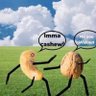 Profilbild von Imnuts