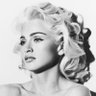 The Madonna Bible : a FAN account! 的头像