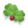 Фото профиля yukihiro