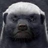 獨裁政權倒台 profil fotoğrafı