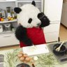 Фото профиля El Panda Masitas