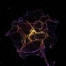 ك-------------لابش's profile picture