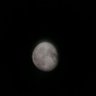 Pipointhemoon's profile picture