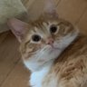 Sunny Roscoe's profile picture