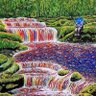 Фото профиля Terry Witter 