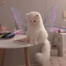 V's profile picture