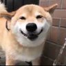 天行健 profil fotoğrafı