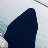 Фото профиля hiba assaf