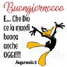 Profilbild von Antonella01