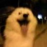 Profilbild von 李琰