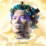 Vinh Lam profil fotoğrafı