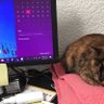 Gabriela Terrazas Rodriguez profil fotoğrafı