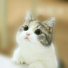 猛男317號 的头像