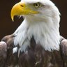 Leo e nay's variedades profil fotoğrafı