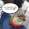 Фото профиля ヒロシ☆