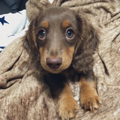 kienainiji_0610's profile picture