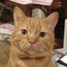 みなみ profil fotoğrafı
