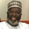 Фото профиля Usman abdullahi abba