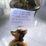 Batre Tuju Persen's profile picture