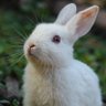Jardin 724480246's profile picture