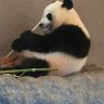 ひぃろさん's profile picture