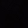 Lisa's profile picture