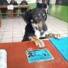 Fabrezz profil fotoğrafı
