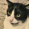 Profilbild von 🐾Q右衛門