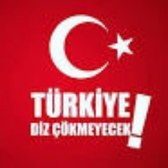 Terör Gerçekleri 🇹🇷's profile picture