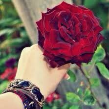 ابحث عن زوج صادق💍's profile picture