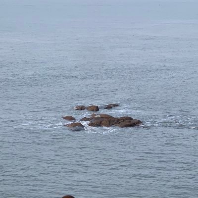David_lomans's profile picture