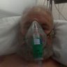 Фото профиля Donato, contra los lobos con piel de cordero