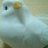 ざわっち profil fotoğrafı