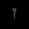Фото профиля Acquah