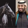 منيره 的头像