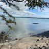 Profilbild von ACHUB PENRHOS / SAVE PENRHOS NATURE RESERVE 🍃💚🍃