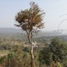 Profilbild von Dipen adhikari