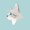 Фото профиля DISPLACER KITTY