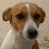 ニコラス・セルジオ・ルナ・久野 🇦🇷🇯🇵 ⚽🥃🚗💻📈📖🐕🐿️'s profile picture