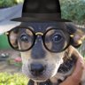 Tanaga 的头像
