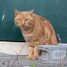 ゼルス profil fotoğrafı