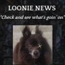 Profilbild von Loonie News