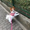 Фото профиля hito