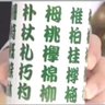 Фото профиля ユウキ・ホタル𝕏ロススト&デュエルリンクス&ポケポケ&Gジェネエターナル