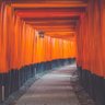 Profilbild von かっきー / みやびな京都
