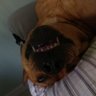 Rloop81's profile picture