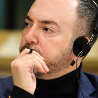 Sergey Lagodinsky's profile picture