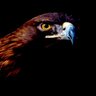 دهّامْ🪙 profil fotoğrafı