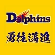 所沢泉ドルフィンズ_U12　DreamComeTrue's profile picture