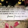 Фото профиля Javier Julián